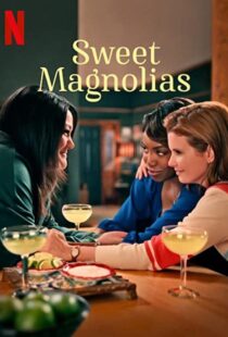 دانلود سریال Sweet Magnolias47511-1218297495
