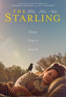 دانلود فیلم The Starling 202185534-292466490
