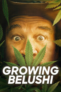 دانلود سریال Growing Belushi400424-1422527513