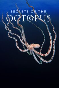 دانلود سریال Secrets of the Octopus401286-1039595794