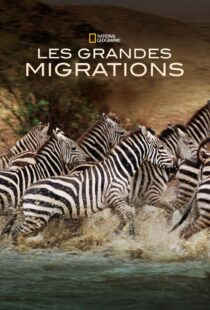 دانلود مستند Great Migrations417146-1177653069