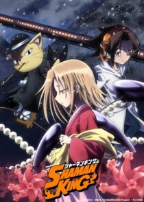 دانلود انیمه Shaman King422246-623277212