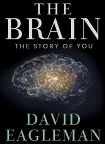 دانلود سریال The Brain with Dr. David Eagleman428613-2141597142