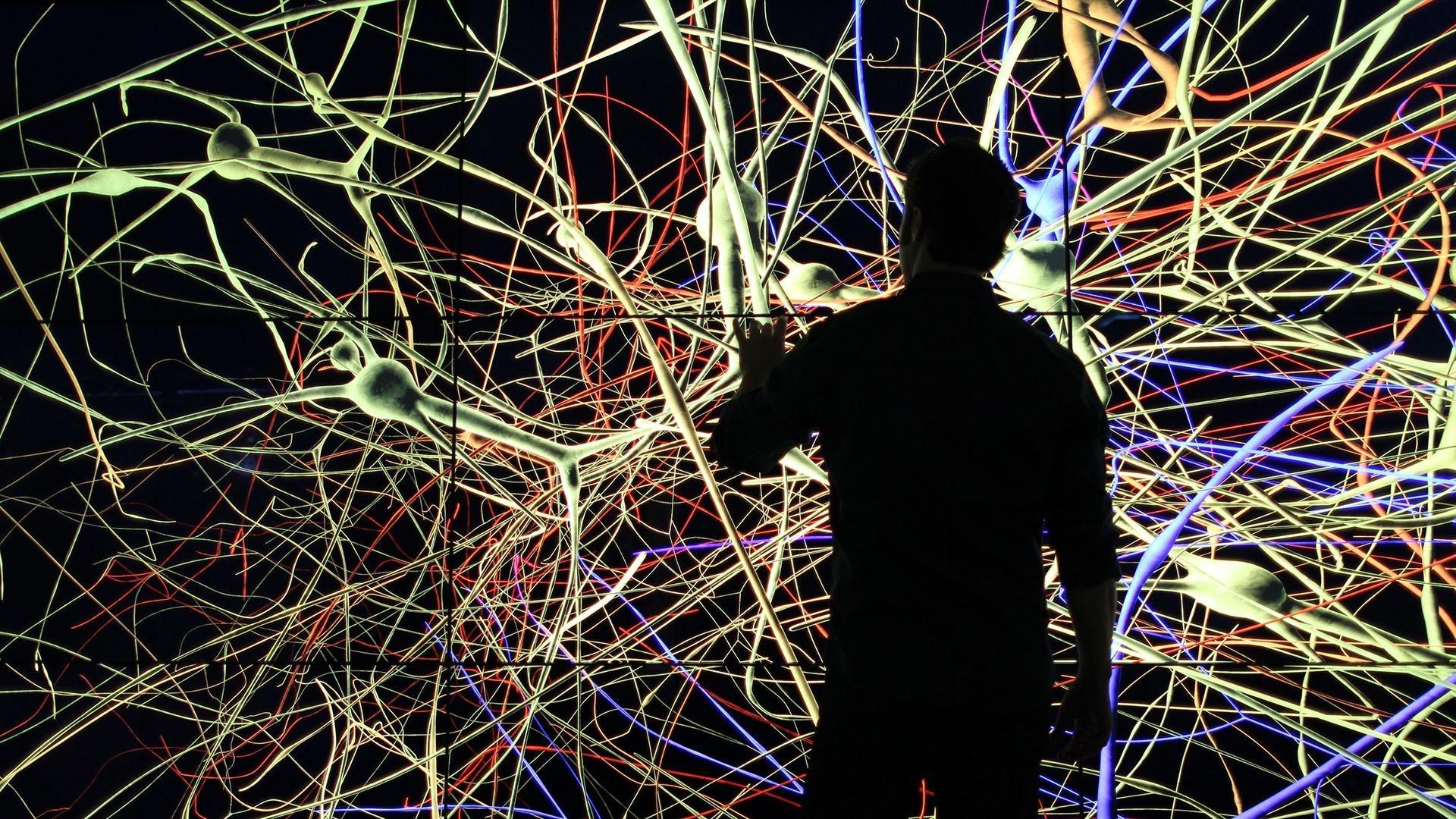 دانلود سریال The Brain with Dr. David Eagleman