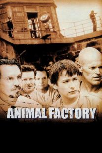 دانلود فیلم Animal Factory 2000430534-817870575