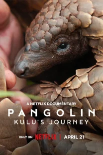 دانلود مستند Pangolin: Kulu’s Journey 2025430703-1215879022